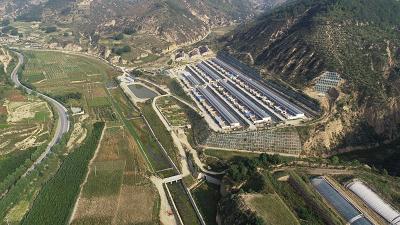 黄河最新动态,黄河最新动态，流域发展、生态保护与科技创新的交融
