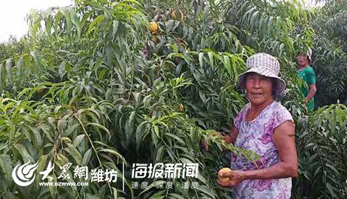 青州兼职招聘信息,青州兼职招聘信息，时代背景下的兼职热潮