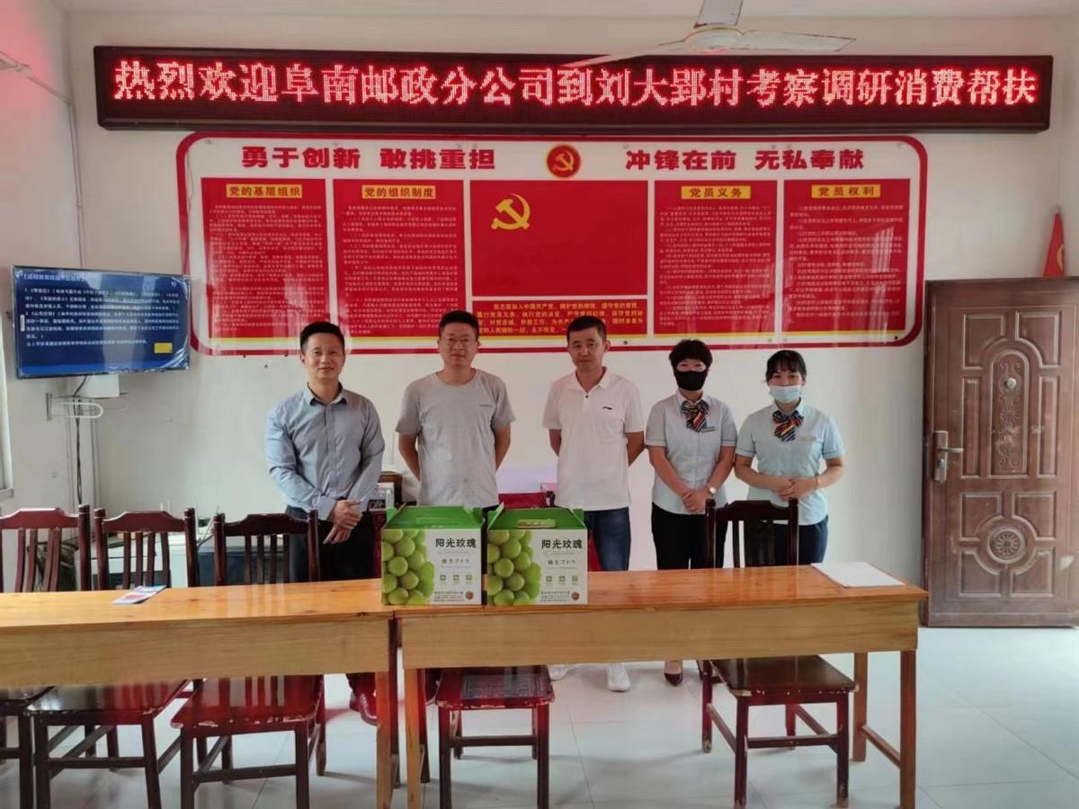 阜南最新人事任免,阜南最新人事任免，带你探索小巷中的隐藏特色小店